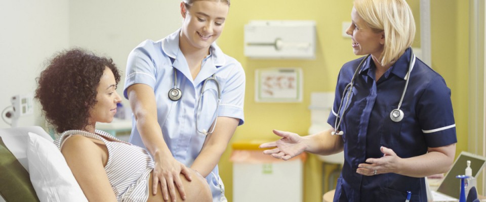 nursing educator jobs adelaide