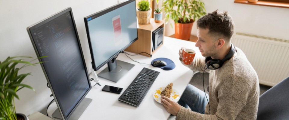 0 Developer Programmer