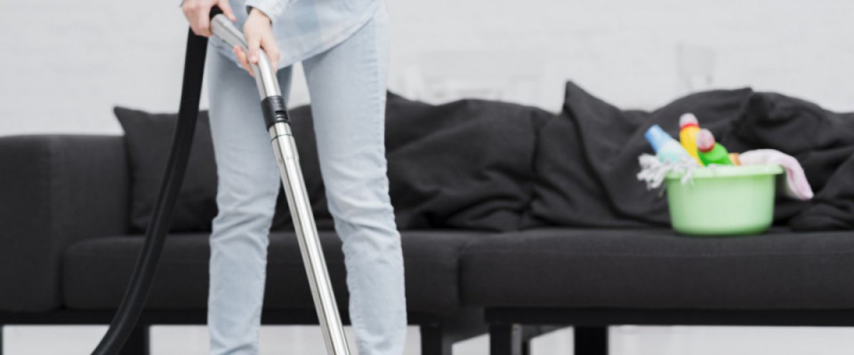 Domestic Housekeeper
